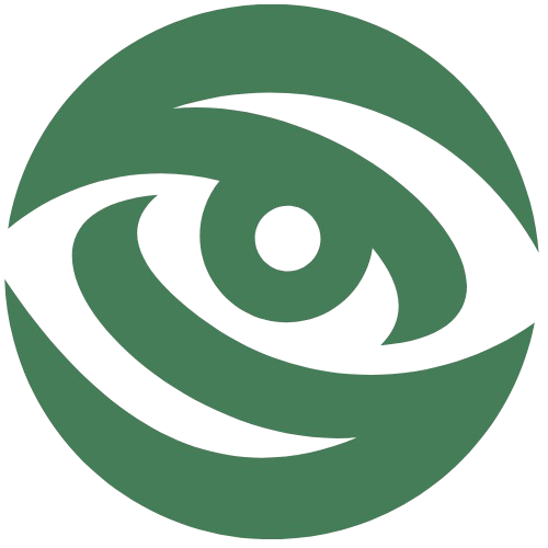 Vision icon